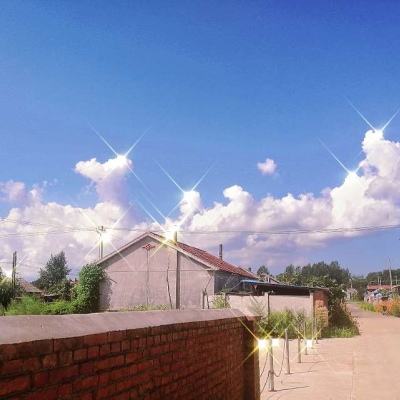 白猫事务所游戏